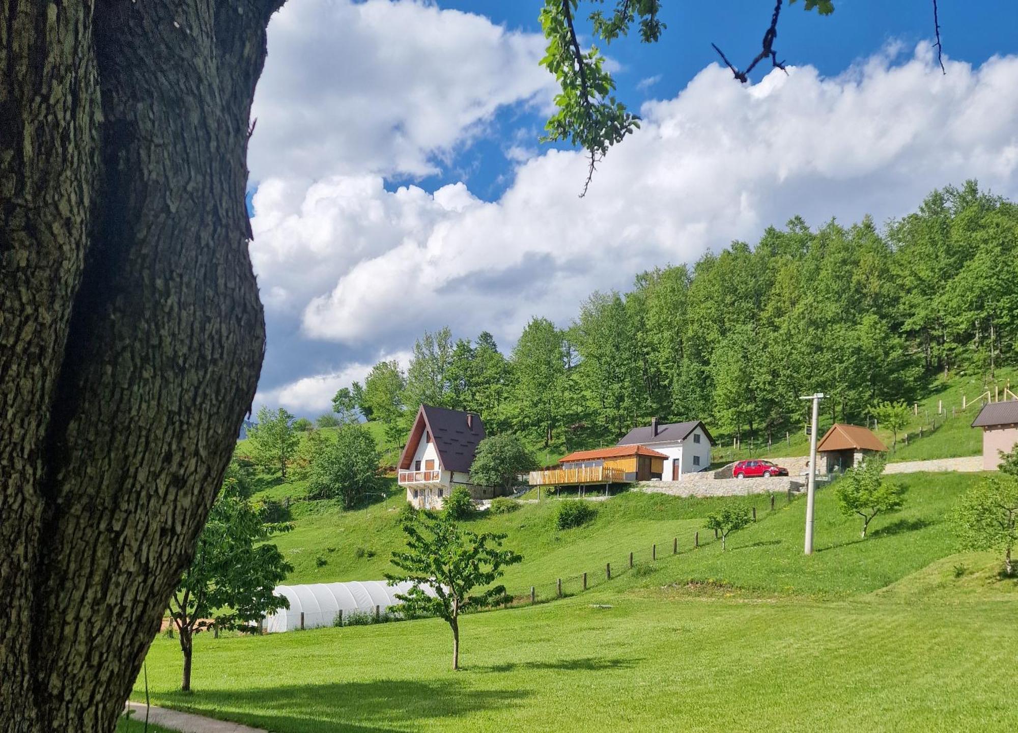Apartmani Vukomanovo Мойковац Екстериор снимка